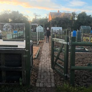Closed the allotment gate for the day this evening. A few hours digging, putting up the framework for a new polytunnel and mulching the fruit bushes. The birds were still busy in the hedges and the beds look better for the work. Okay, let’s go. 

#kitchengarden #kentcoast #goodfood #allotmentlife