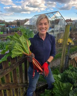Rhubarb pushing its way out of the forcer on the allotment.
Kept in darkness, the stems come through pale, tender, and fine-textured, with a softer acidity than the open-grown crop. It cooks down quickly, losing that fibrous bite and giving a cleaner, more delicate flavour.
This is the early-season rhubarb worth using. It needs very little adjustment in the pan.
Going into a crumble later - it won’t need much sugar.
#rhubarb #allotmentlife #kitchengarden #forcedrhubarb #goodfood #fultonsstrawberrysurprise