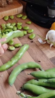 Broad beans last night, podded straight from the allotment kitchen garden. Meatballs rolled beside me, basmati steaming slowly on the stove. Podding broad beans is either therapeutic or intensely irritating. Usually both. 

#kitchengarden 🌞🌱👩‍🌾 
#broadbeans