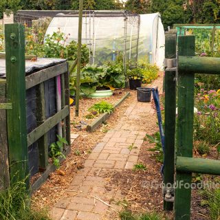 The entrance to our allotment kitchen garden - an Aladdin’s cave of organically grown fruit, vegetables and herbs. #gyo
#allotmentlife #kitchengarden